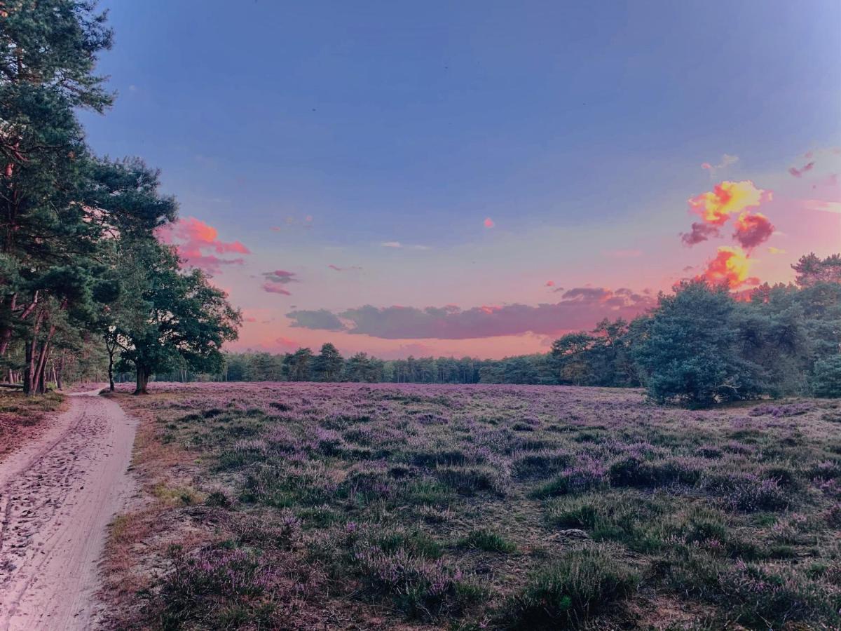 Rode Bosuil: Thuiskomen Op De Veluwe! Otterlo Dış mekan fotoğraf