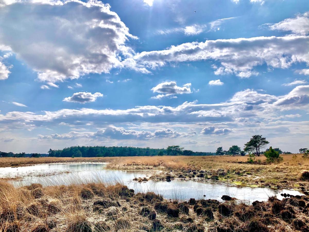 Rode Bosuil: Thuiskomen Op De Veluwe! Otterlo Dış mekan fotoğraf