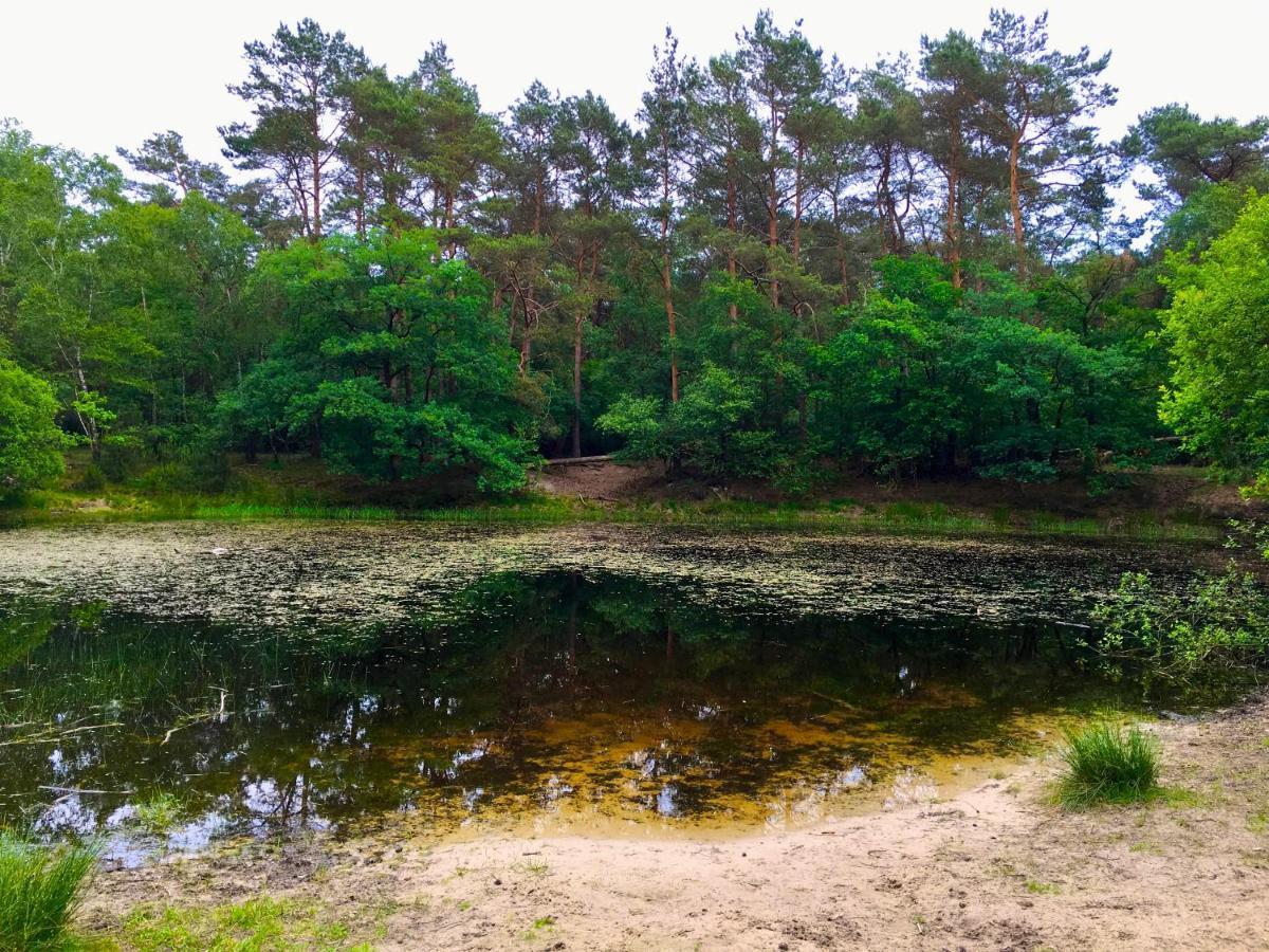 Rode Bosuil: Thuiskomen Op De Veluwe! Otterlo Dış mekan fotoğraf